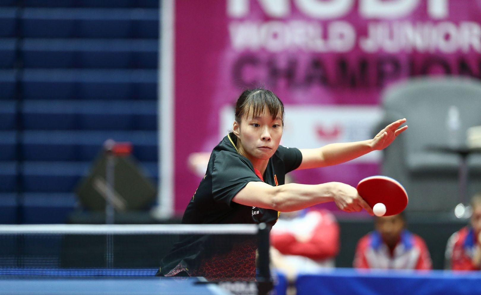 度化表达替 度化表达替